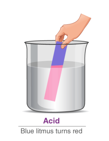 Properties of Acids