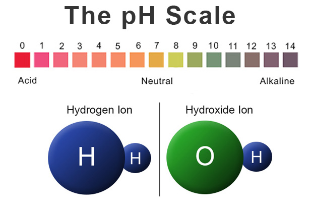 Strength of Acids and Bases