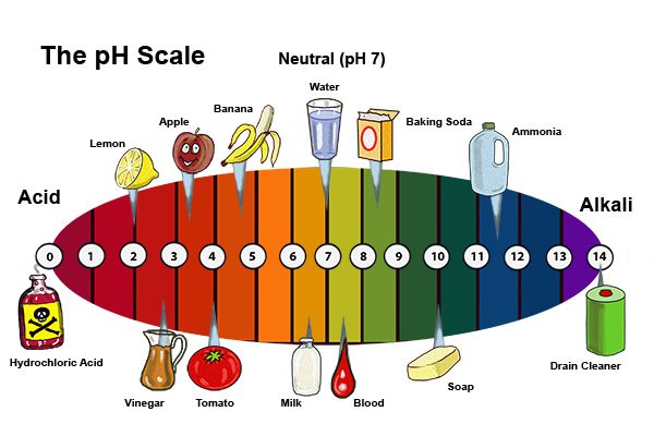 Applications of Acids and Bases